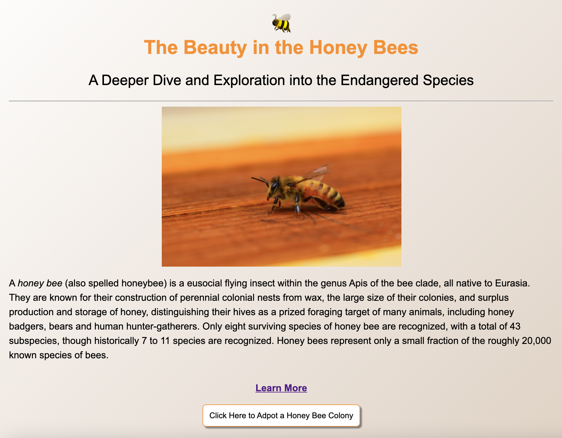 Briana's Honey Bee App